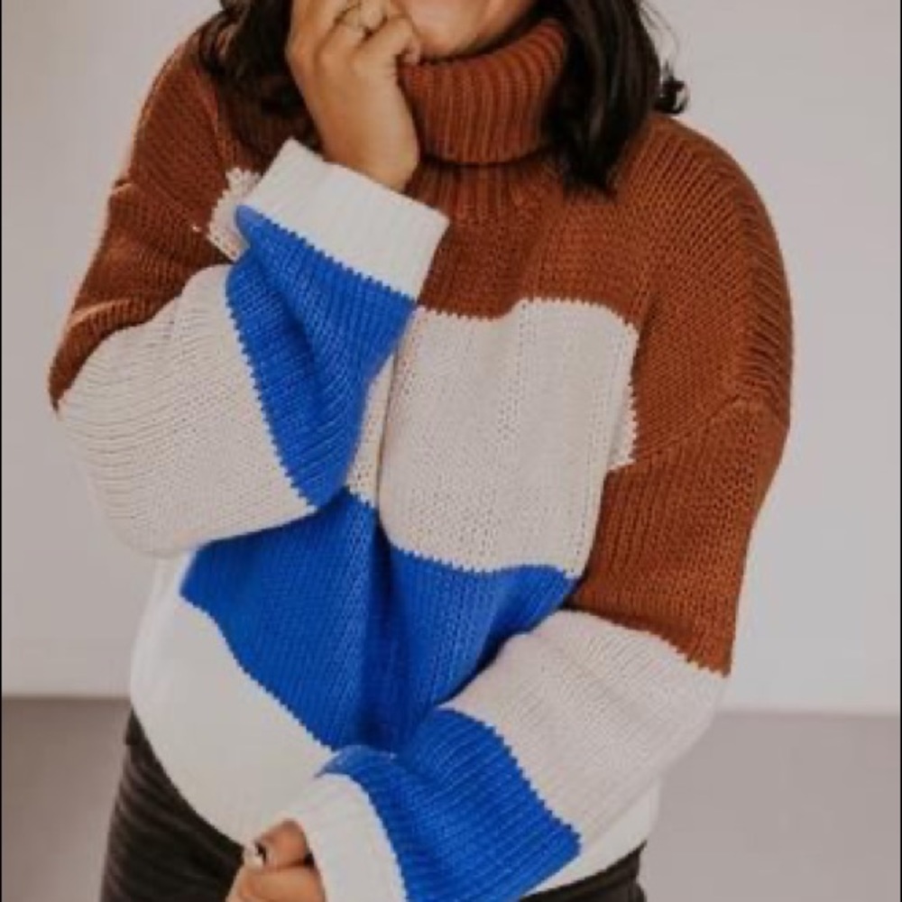 NWT Roolee Glinda Blocked Turtleneck Sweater